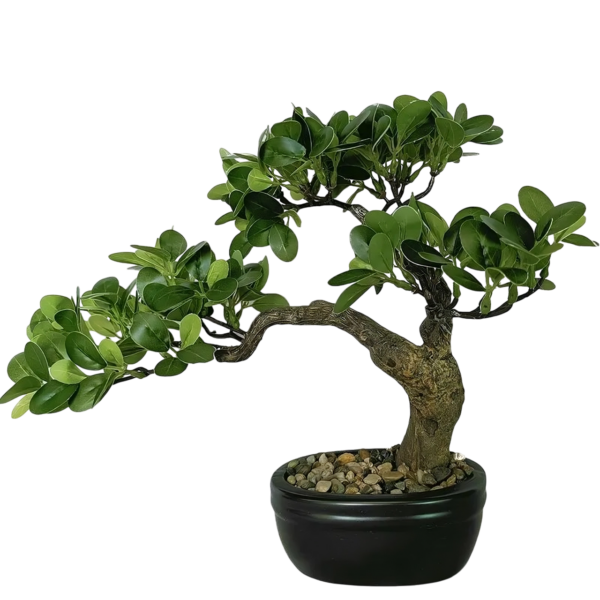 Bonsai Bonsi - BONSALIA