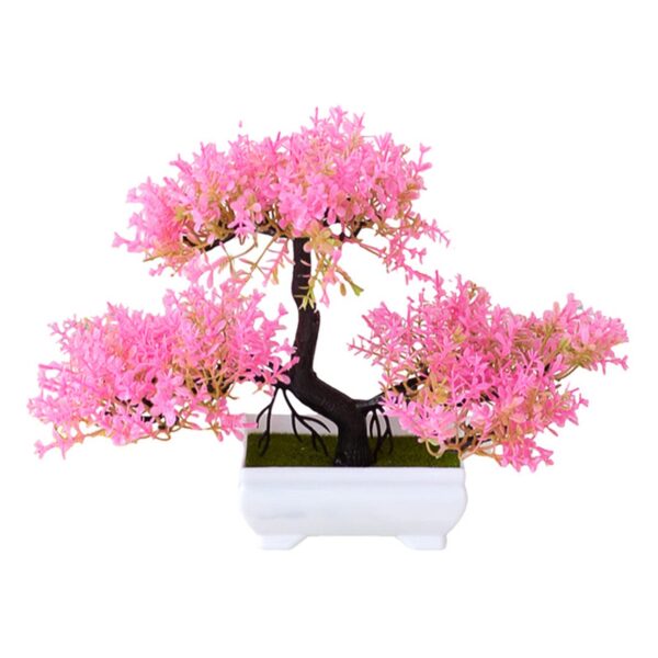 Bonsai Árbol de vida Rosa - BONSALIA - Imagen 2