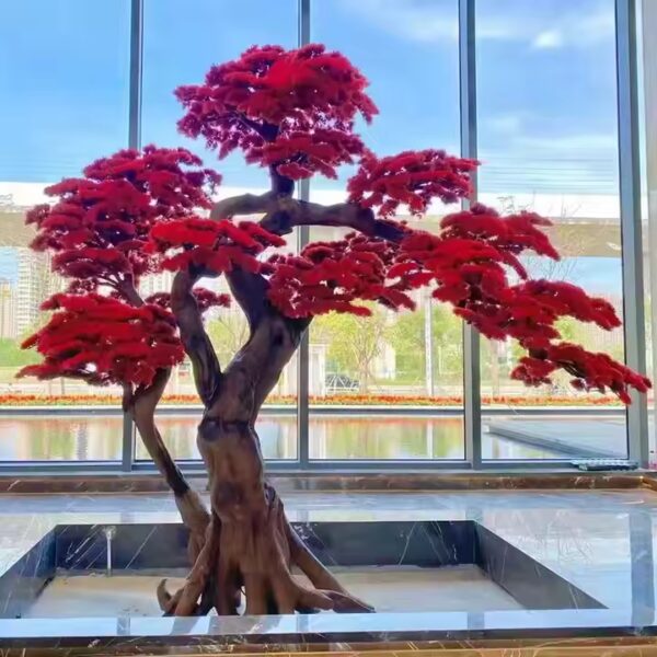 Bonsai Dragón Rojo - BONSALIA