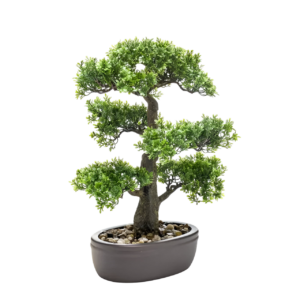 Bonsái de Ficus artificil - BONSALIA