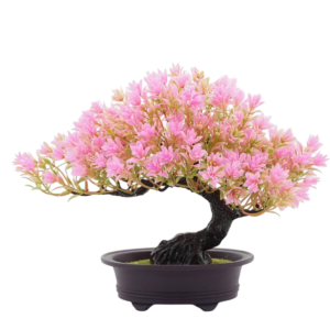 Bonsai Árbol de vida Rosa - BONSALIA